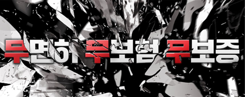 면허, 보험